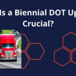 Why Is a Biennial DOT Update Crucial?