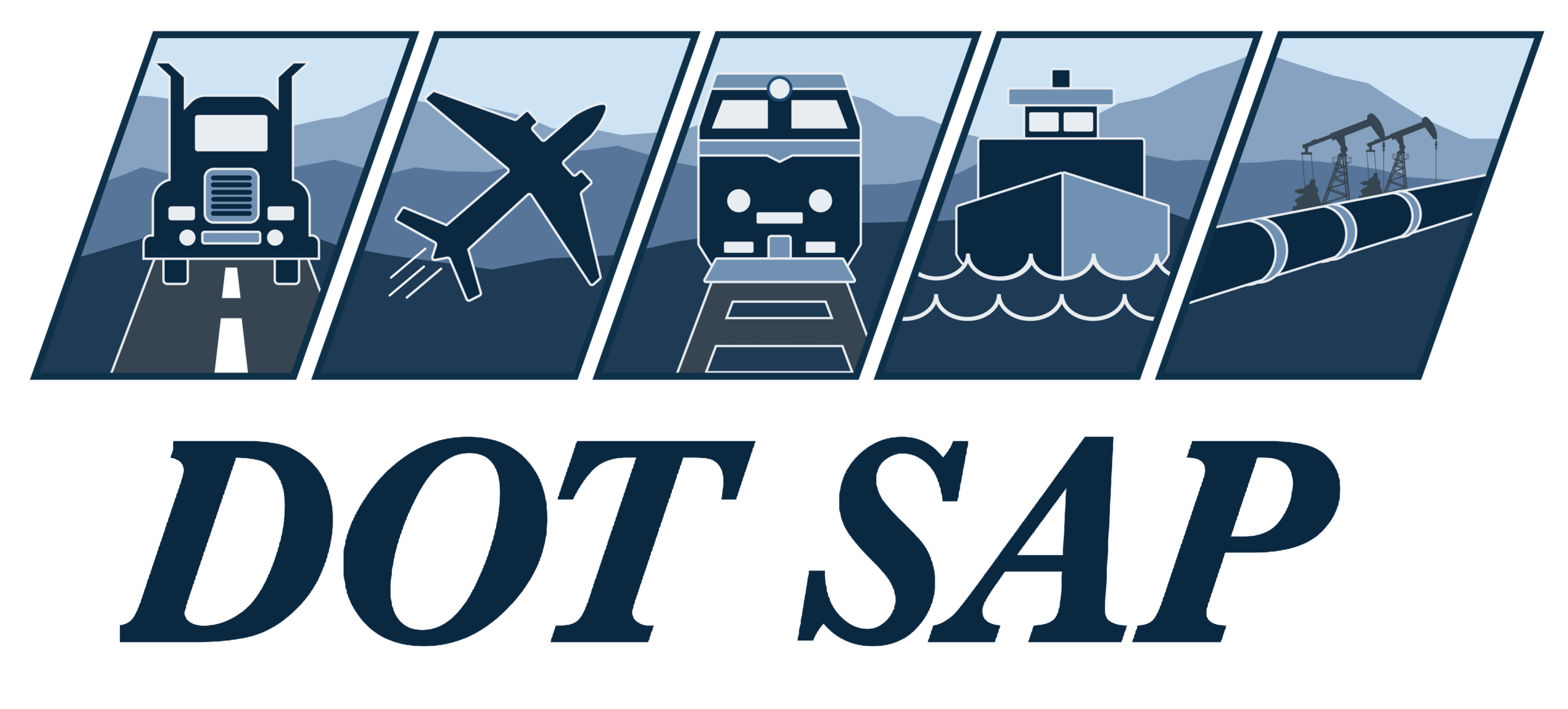 DOT SAP Return to Duty